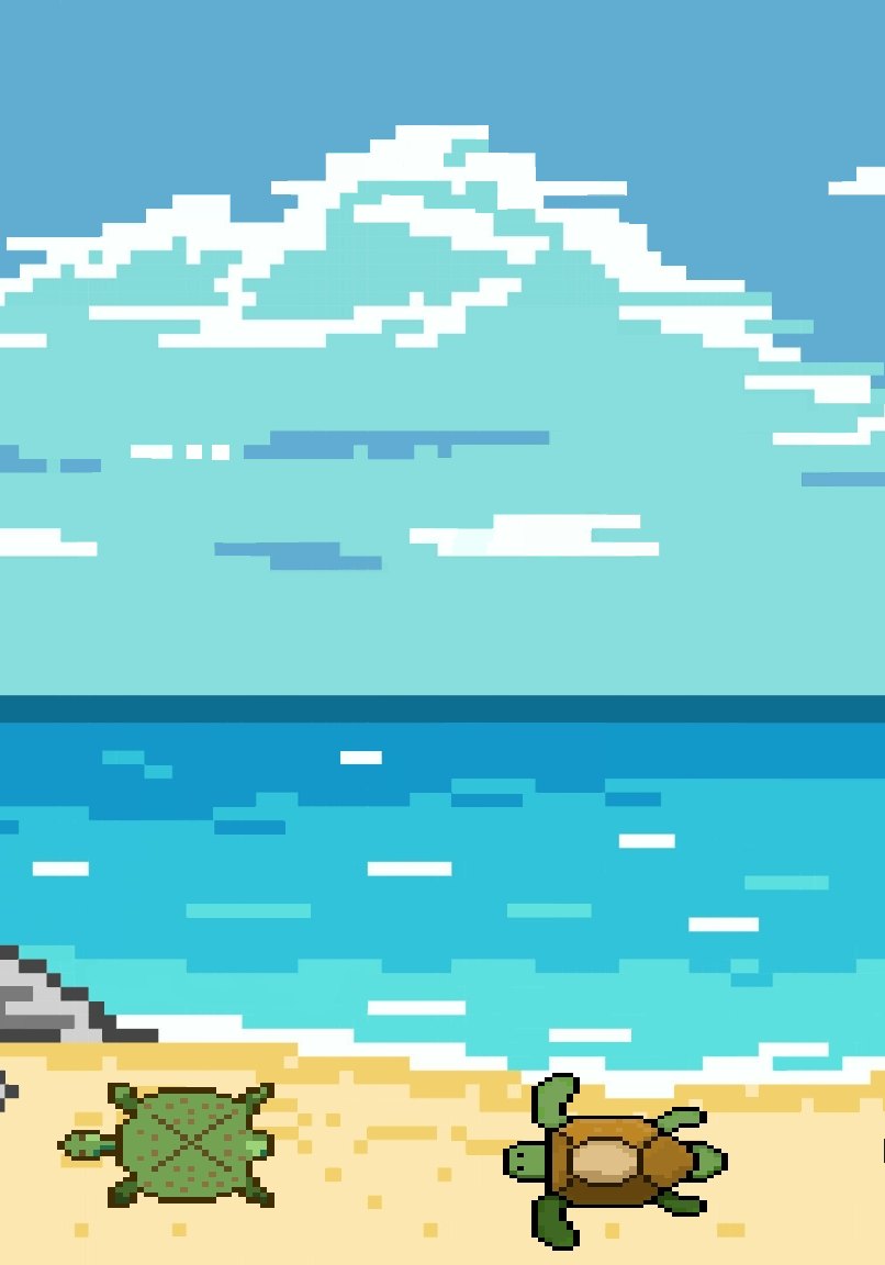 Journey to the Sea