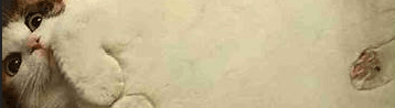 oscar2014 banner